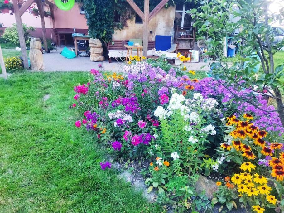 Apartment In Blossom Garden โนเว เมียสโต โปดสเมอร์เกม ภายนอก รูปภาพ